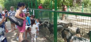 Read more about the article Kirándultak ma a Hunyadi téri ovisok a békéscsabai CsabaParkba