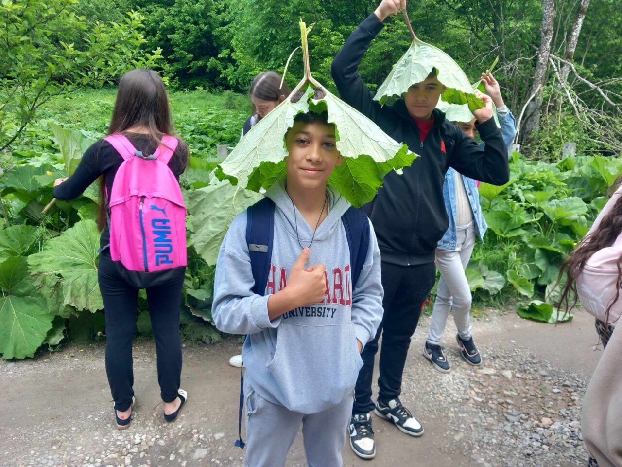 Határtalanul kirándulás ... 15 Határtalanul kirándulás ... 15