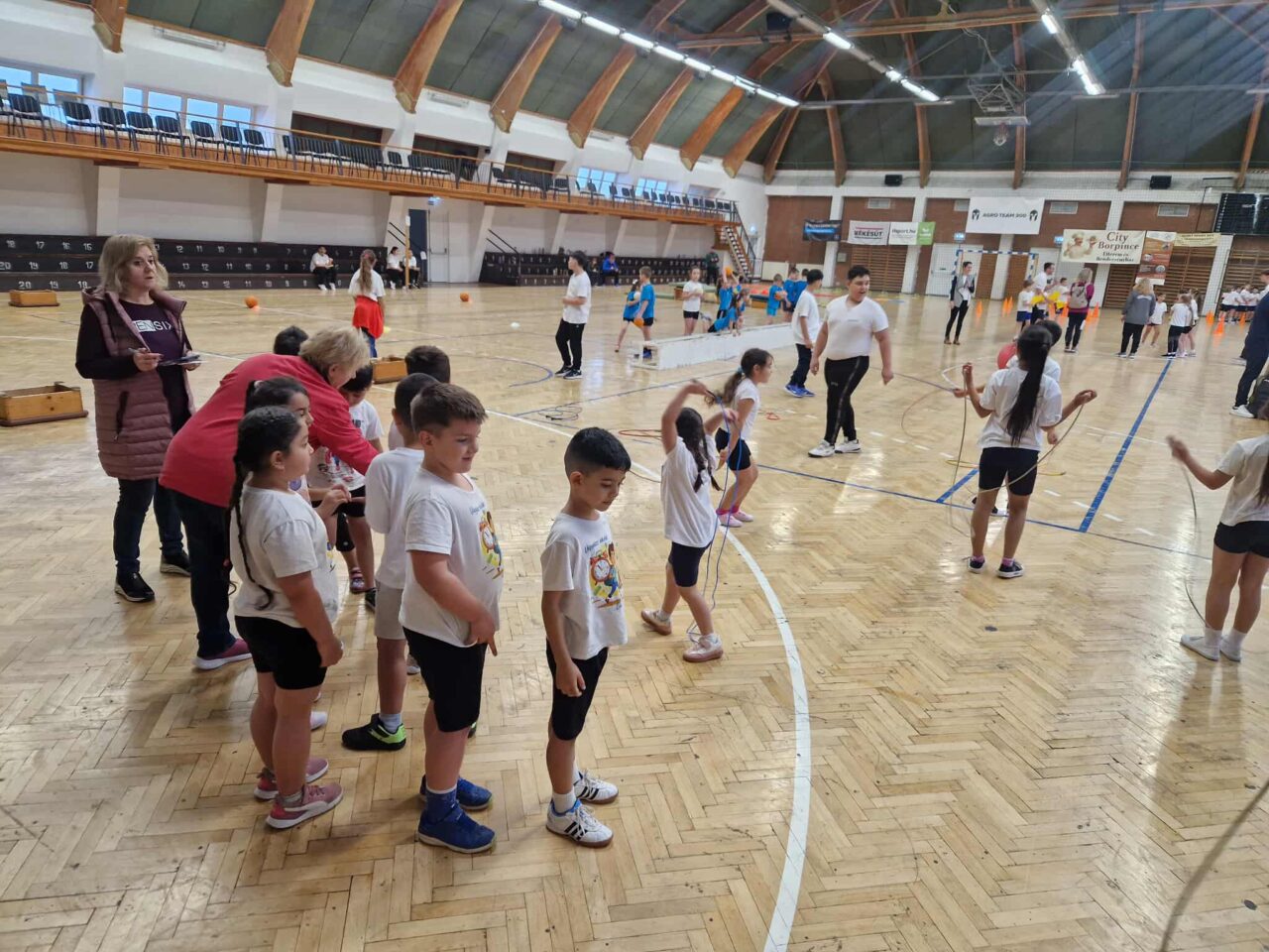 Diáksportfesztivál, ahol élmény a tesi! 9