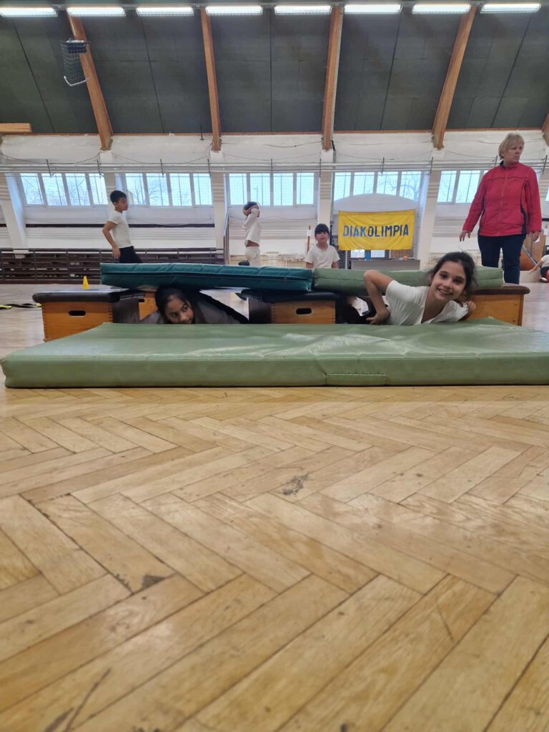 Diáksportfesztivál, ahol élmény a tesi! 12