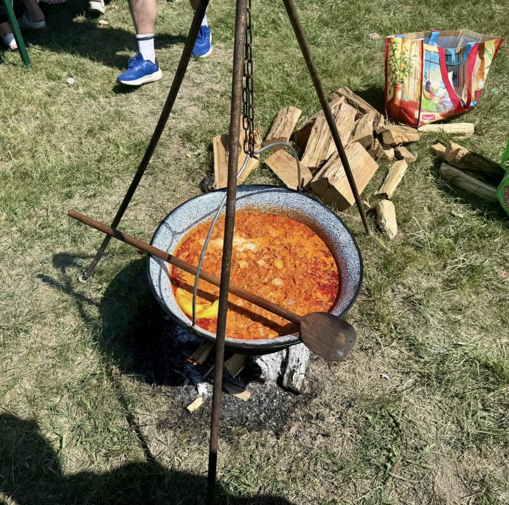 Tininap és főzőverseny 17