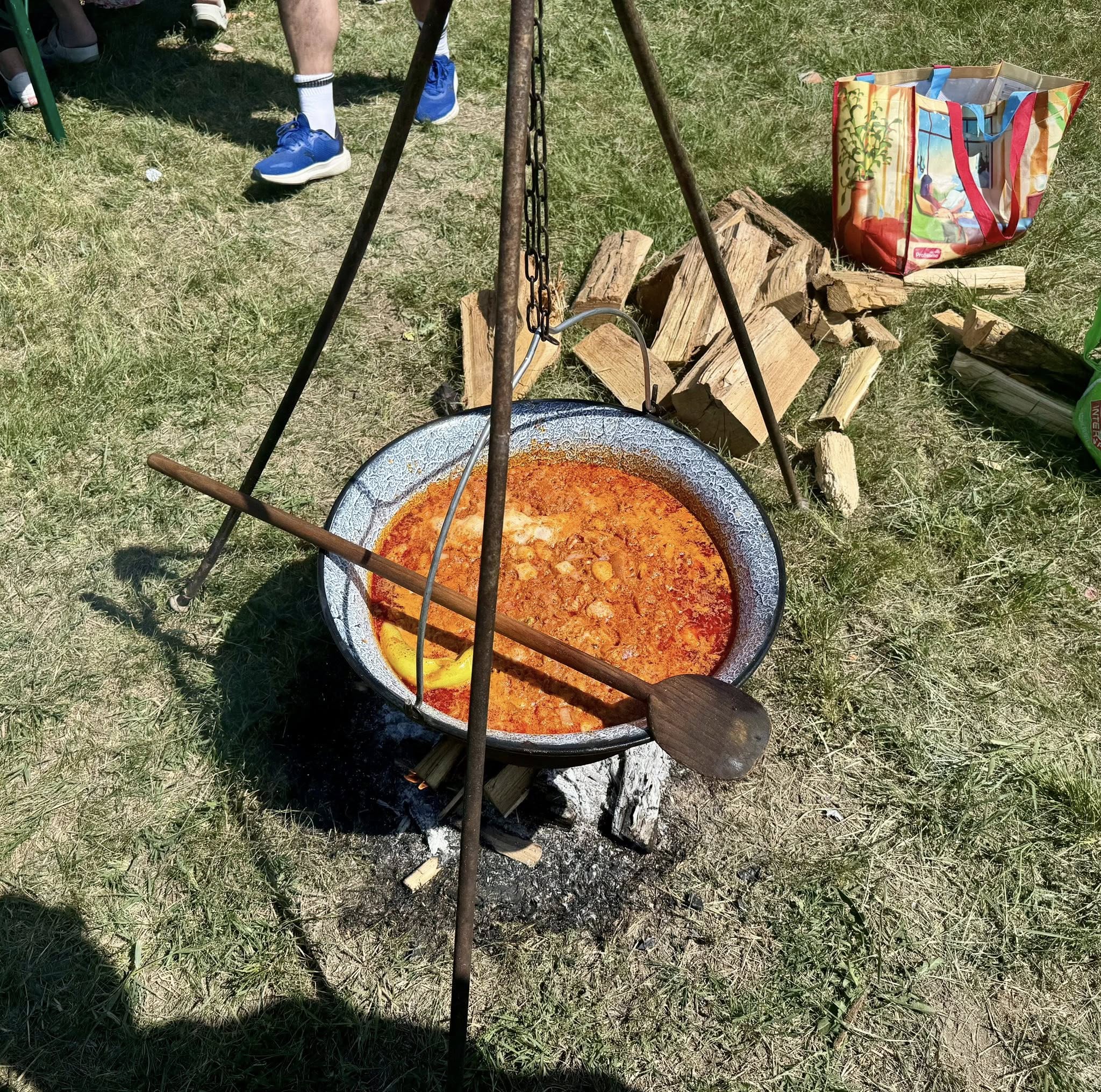 Tininap és főzőverseny 1