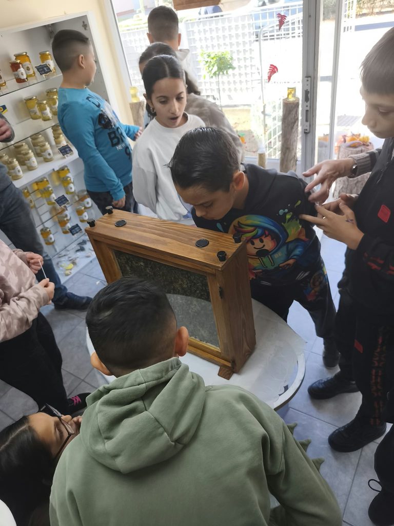 Pályaorientációs nap - alsó tagozat 33 Pályaorientációs nap - alsó tagozat 33